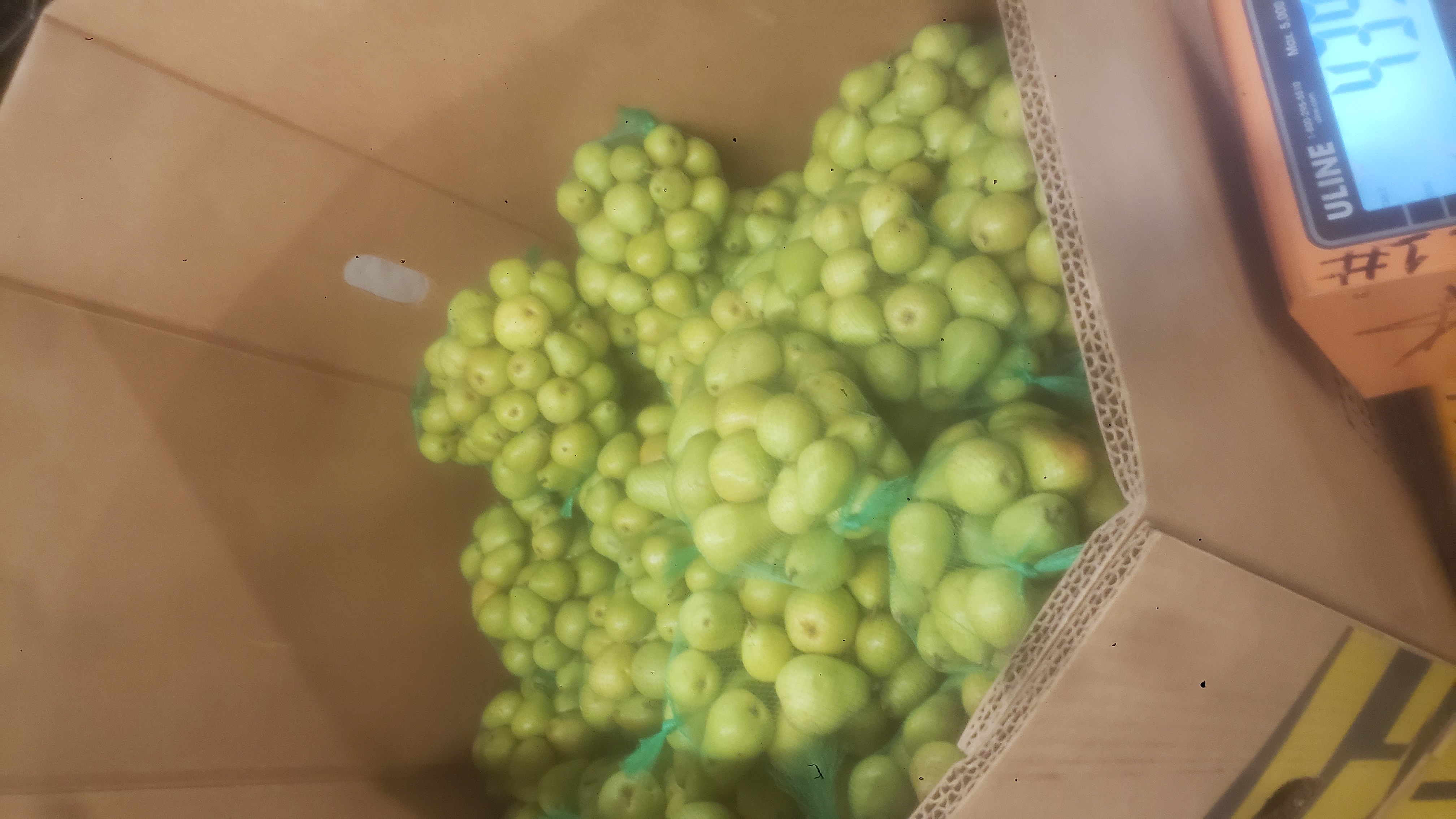 Mesh bags of pears in a cardboard container that is being weighed by a pallet jack.